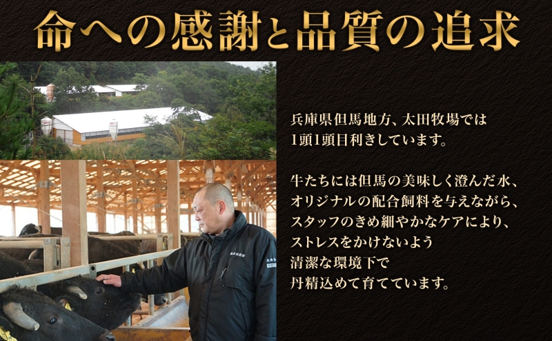 神戸ビーフ ITSS5 しゃぶしゃぶ・すき焼き用 セット 1.2kg ( 肩ロース 600g かた・もも 600g ) しゃぶしゃぶ すき焼き 牛肉  太田家 肉 冷凍 神戸肉 兵庫県 伊丹市