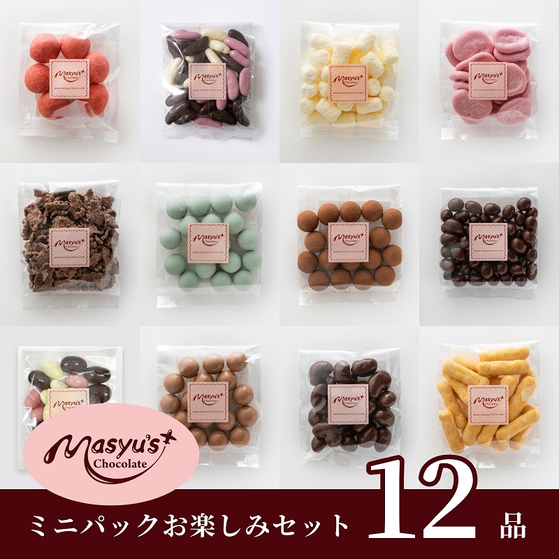 チョコレート　ミニパック　お楽しみセット　12品　4月～10月発送　チョコレート チョコ スイーツ お菓子 おかし お楽しみ 詰め合わせ ミニパック セット 食べ比べ ギフト プレゼント 兵庫県 伊丹市