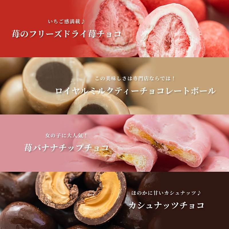 チョコレート　ミニパック　お楽しみセット　12品　4月～10月発送　チョコレート チョコ スイーツ お菓子 おかし お楽しみ 詰め合わせ ミニパック セット 食べ比べ ギフト プレゼント 兵庫県 伊丹市