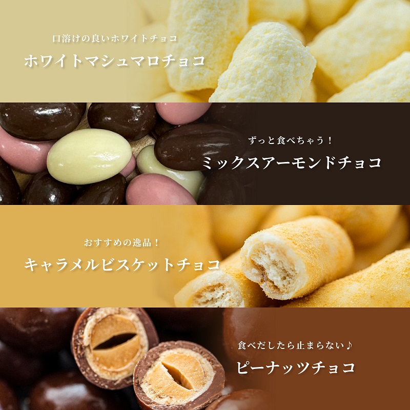 チョコレート　ミニパック　お楽しみセット　12品　4月～10月発送　チョコレート チョコ スイーツ お菓子 おかし お楽しみ 詰め合わせ ミニパック セット 食べ比べ ギフト プレゼント 兵庫県 伊丹市