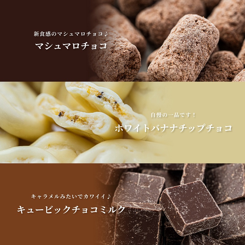 チョコレート ミニパック お楽しみセット 18品 4月～10月発送 チョコレート チョコ スイーツ お菓子 おかし お楽しみ 詰め合わせ ミニパック セット 食べ比べ ギフト プレゼント 兵庫県 伊丹市