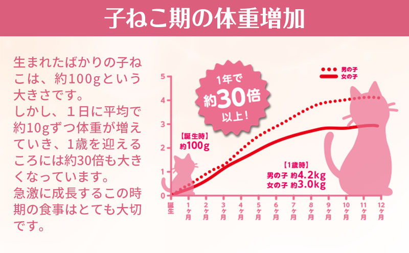 銀のスプーン三ツ星グルメ 香るお魚仕立て健康に育つ子ねこ用 お魚レシピ 240g×14箱 ペットフード キャットフード 猫のごはん 猫用フード 猫 ペット 小分け 個包装 ドライ ユニ・チャーム ペット ユニ・ケアー