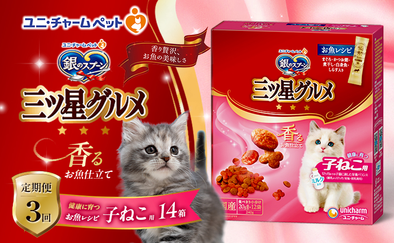 【定期便3回】銀のスプーン三ツ星グルメ 香るお魚仕立て健康に育つ子ねこ用 お魚レシピ 240g×14箱 3ヶ月連続お届け ペットフード キャットフード 猫のごはん 猫用フード 猫 ペット