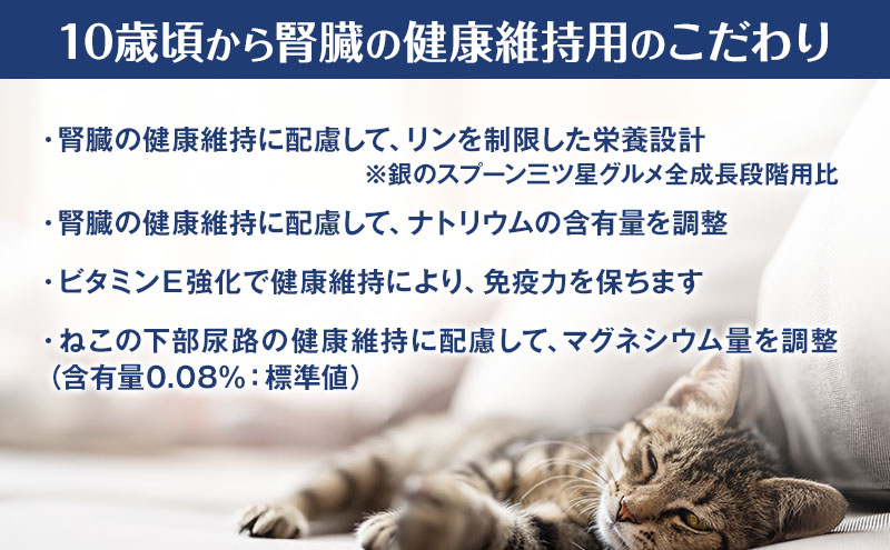 【定期便3回】銀のスプーン三ツ星グルメ 香るお魚仕立て10歳から4種のアソート素材入り お魚レシピ 200g×14箱 3ヶ月連続お届け ペットフード キャットフード 猫のごはん 猫用フード 猫 ペット