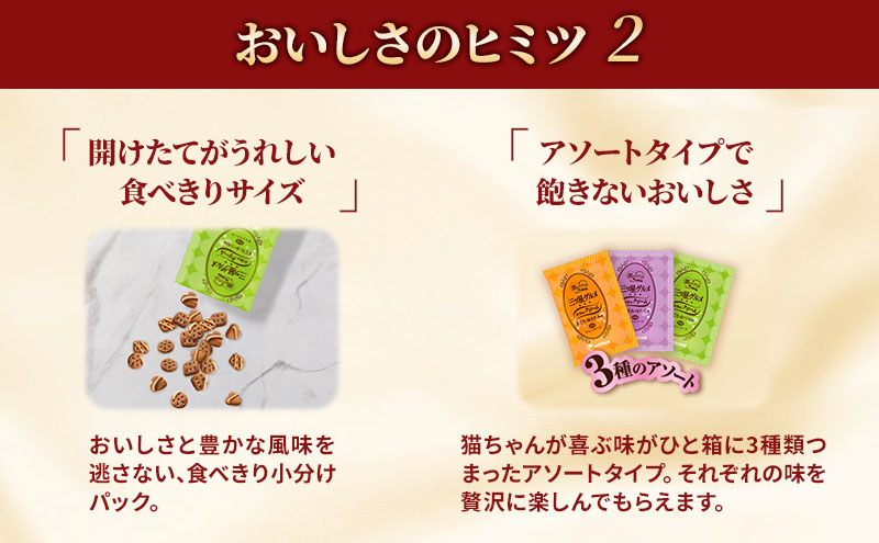 【定期便3回】銀のスプーン三ツ星グルメ お魚クリームまぐろ味レシピ3種のアソート 180g×6箱 3ヶ月連続お届け ペットフード キャットフード 猫のごはん 猫用フード 猫 ペット