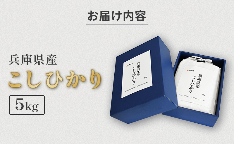 お米 令和6年産 兵庫県産コシヒカリ5kg 米 お米 新米 こめ コメ 白米 兵庫県 伊丹市