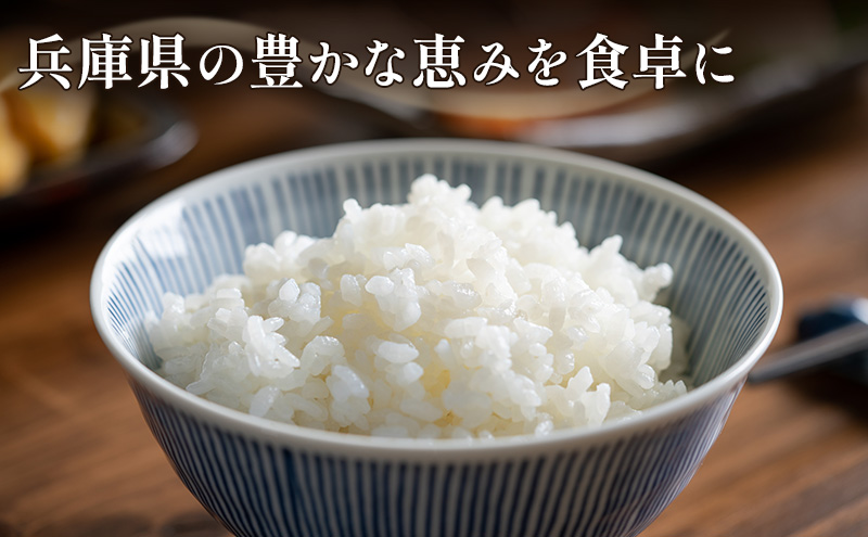 お米 令和7年産 兵庫県産コシヒカリ5kg 米 お米 こめ コメ 白米 兵庫県 伊丹市 