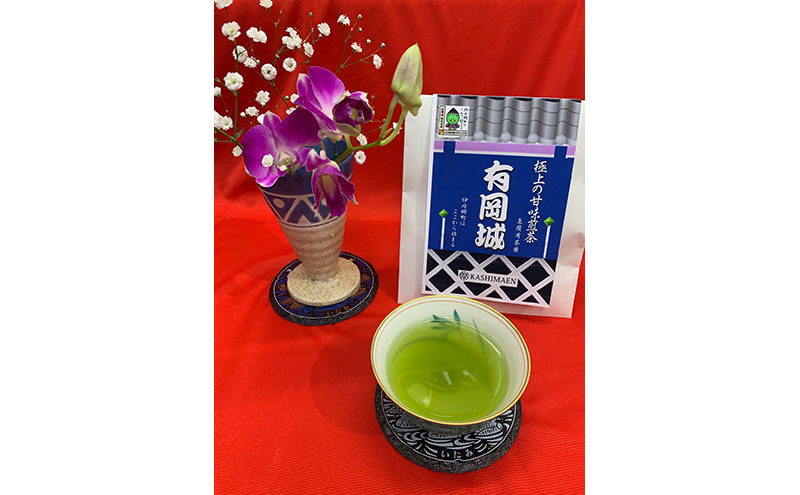 伊丹セット 伊丹市マンホールデザインコースター 有岡城 急須用茶葉 村重 ティーバッグ セット 自然の玉露 あさつゆ 豊みどり お茶 袋入り 茶葉 緑茶 煎茶 国産 お取り寄せ 飲み比べ ギフト 贈り物 手土産 飲料 ドリンク 飲料類