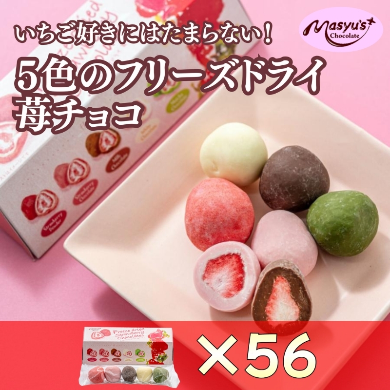 5色の苺チョコ 5粒×56箱 4月～10月発送 チョコレート チョコ スイーツ お菓子 おかし  苺  ミックス  ミルクチョコ  ホワイトチョコ  苺チョコ  抹茶チョコ  ギフト プレゼント 兵庫県 伊丹市