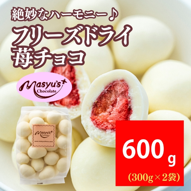 フリーズドライ苺チョコ 600g 300gx2袋 11月～3月発送 チョコレート チョコ スイーツ お菓子 おかし いちご ホワイトチョコ ギフト プレゼント 兵庫県 伊丹市