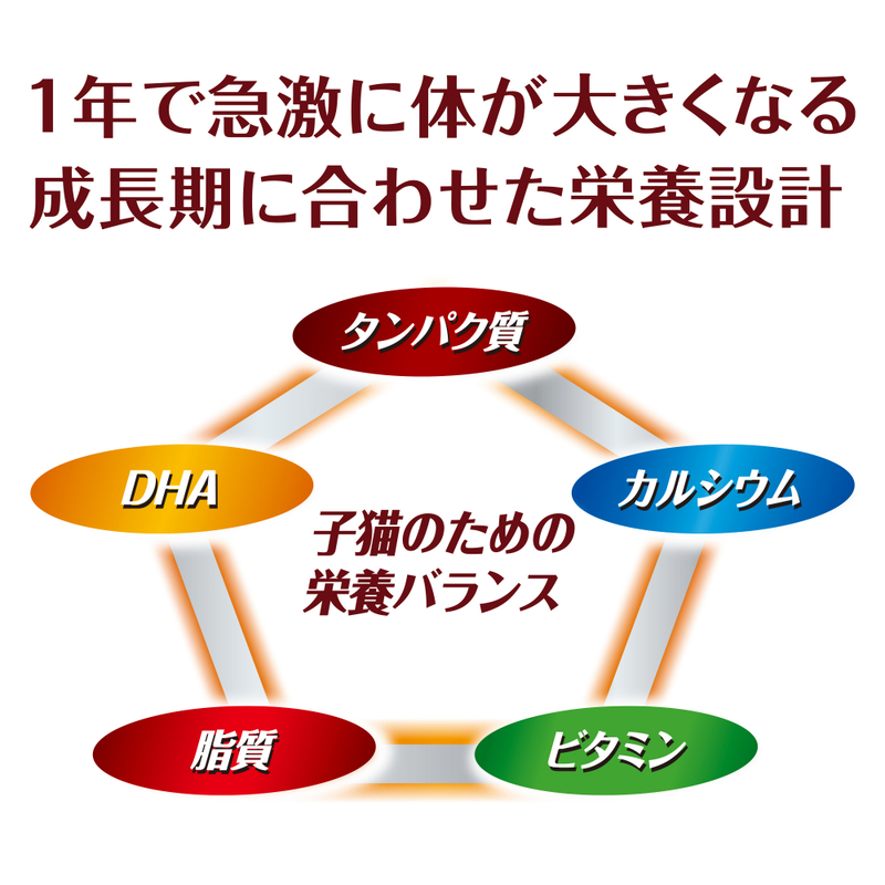 AllWell 健康に育つ子猫用 フィッシュ味 挽き小魚とささみフリーズドライパウダー入り 1.6kg×5袋 ペットフード キャットフード 猫のごはん 猫用フード 猫 ペット ドライ ユニ・チャーム ペット