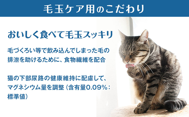 éã®ã¹ããŒã³äžãæã°ã«ã¡ ãéã¯ãªãŒã æ¯çã±ã¢ ãŸããã»ãã€ãå³ 180gÃ6ç®± ãããããŒã ãã£ããããŒã ç«ã®ãã¯ã ç«çšããŒã ç« ããã å°åã åå
è£
ãã©ã€ ãŠãã»ãã£ãŒã ããã