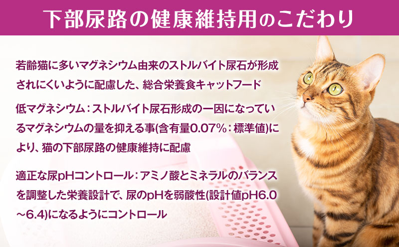 ãå®æäŸ¿3åãéã®ã¹ããŒã³äžãæã°ã«ã¡ éŠããéä»ç«ãŠäžéšå°¿è·¯ã®å¥åº·ç¶æçš 1æ³ïœ10æ³é ãŸã§ã®ãéã¬ã·ã 240gÃ7ç®± 3ã¶æé£ç¶ãå±ã ãããããŒã ãã£ããããŒã ç«ã®ãã¯ã ç«çšããŒã ç« ããã