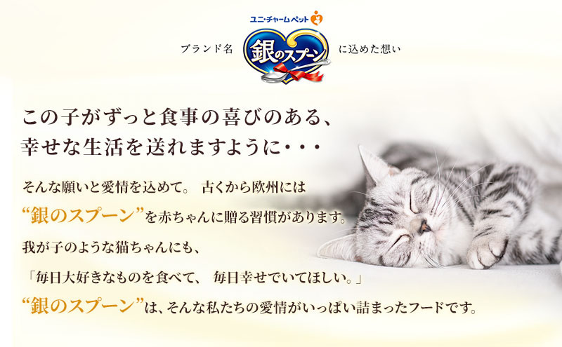 銀のスプーン三ツ星グルメ 香るお魚仕立て20歳を過ぎてもすこやかに お魚レシピ 240g×14箱 ペットフード キャットフード 猫用フード 猫 ペット 小分け 個包装 ドライ ユニ・チャーム ペット