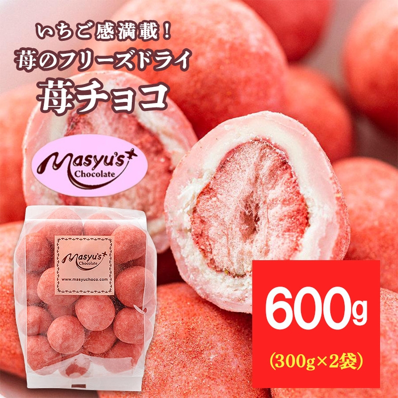 苺のフリーズドライ苺チョコ600g 300gx2袋 11月～3月発送 チョコレート チョコ スイーツ お菓子 おかし いちご イチゴチョコ イチゴ パウダー ギフト プレゼント 兵庫県 伊丹市