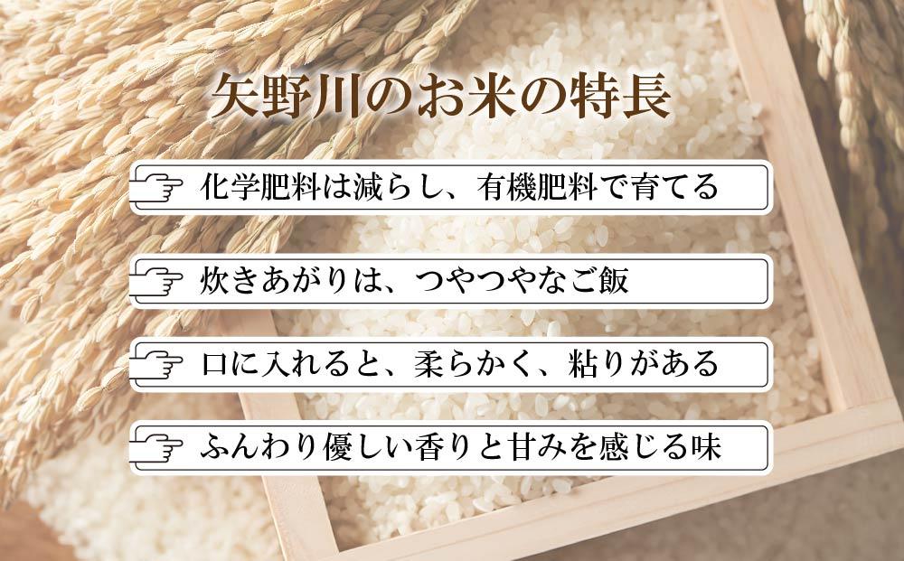 遏「驥主キ昴ョ縺顔アウ縲繝偵ヮ繝偵き繝ェ邊セ邀ウ4kg