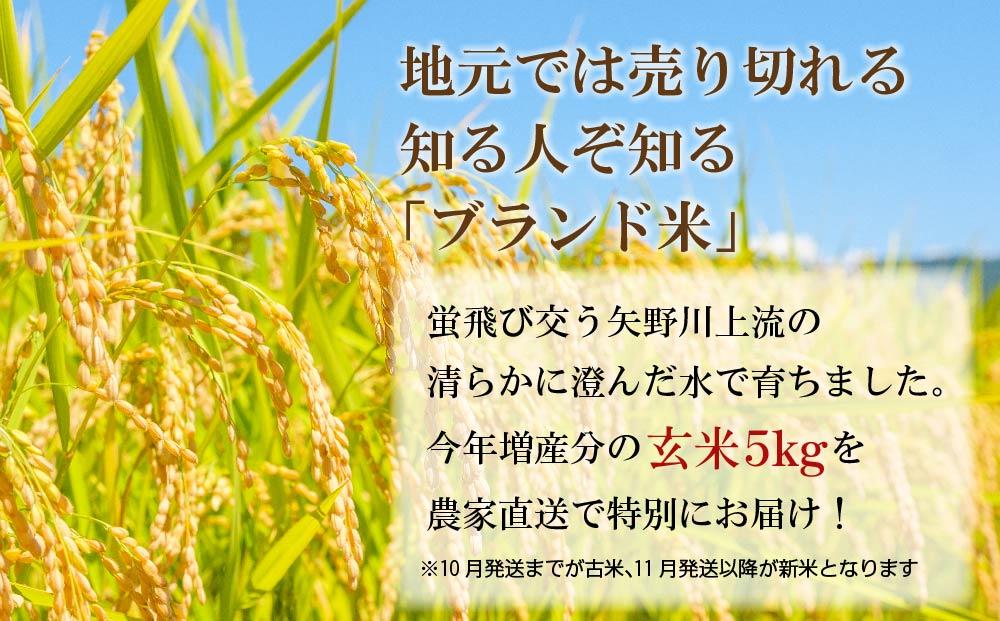 遏「驥主キ昴ョ縺顔アウ縲繝偵ヮ繝偵き繝ェ邇邀ウ5kg