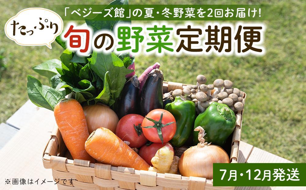 「ベジーズ館」の夏・冬野菜　年２回コース （7月と12月発送）【たっぷりセット】