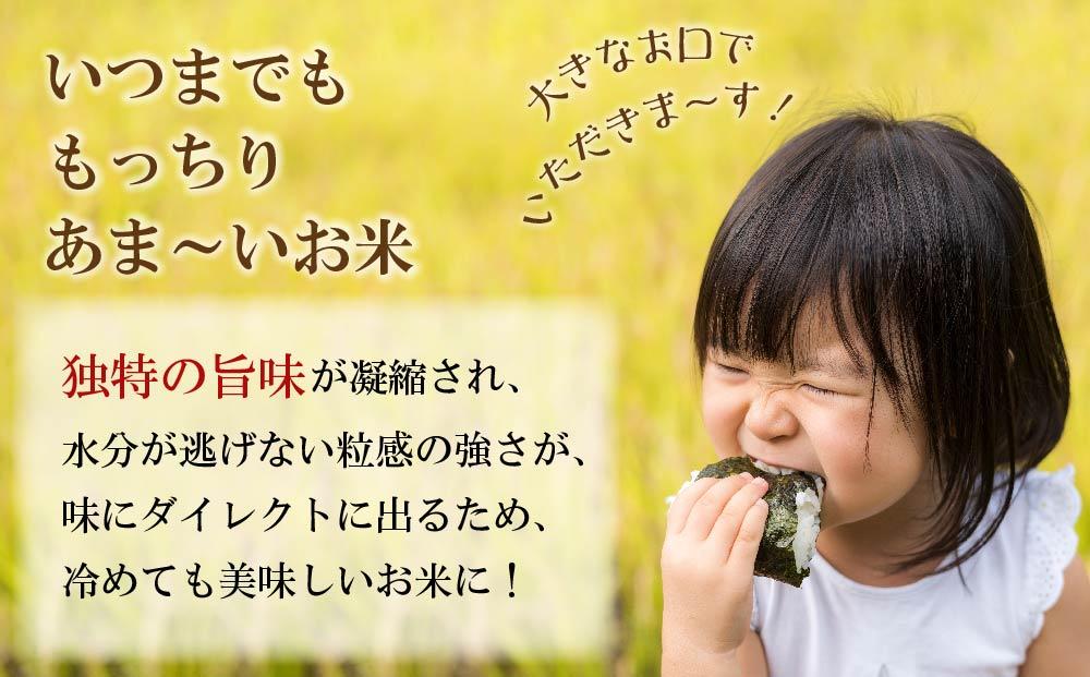 遏「驥主キ昴ョ縺顔アウ縲繝偵ヮ繝偵き繝ェ邊セ邀ウ8kg