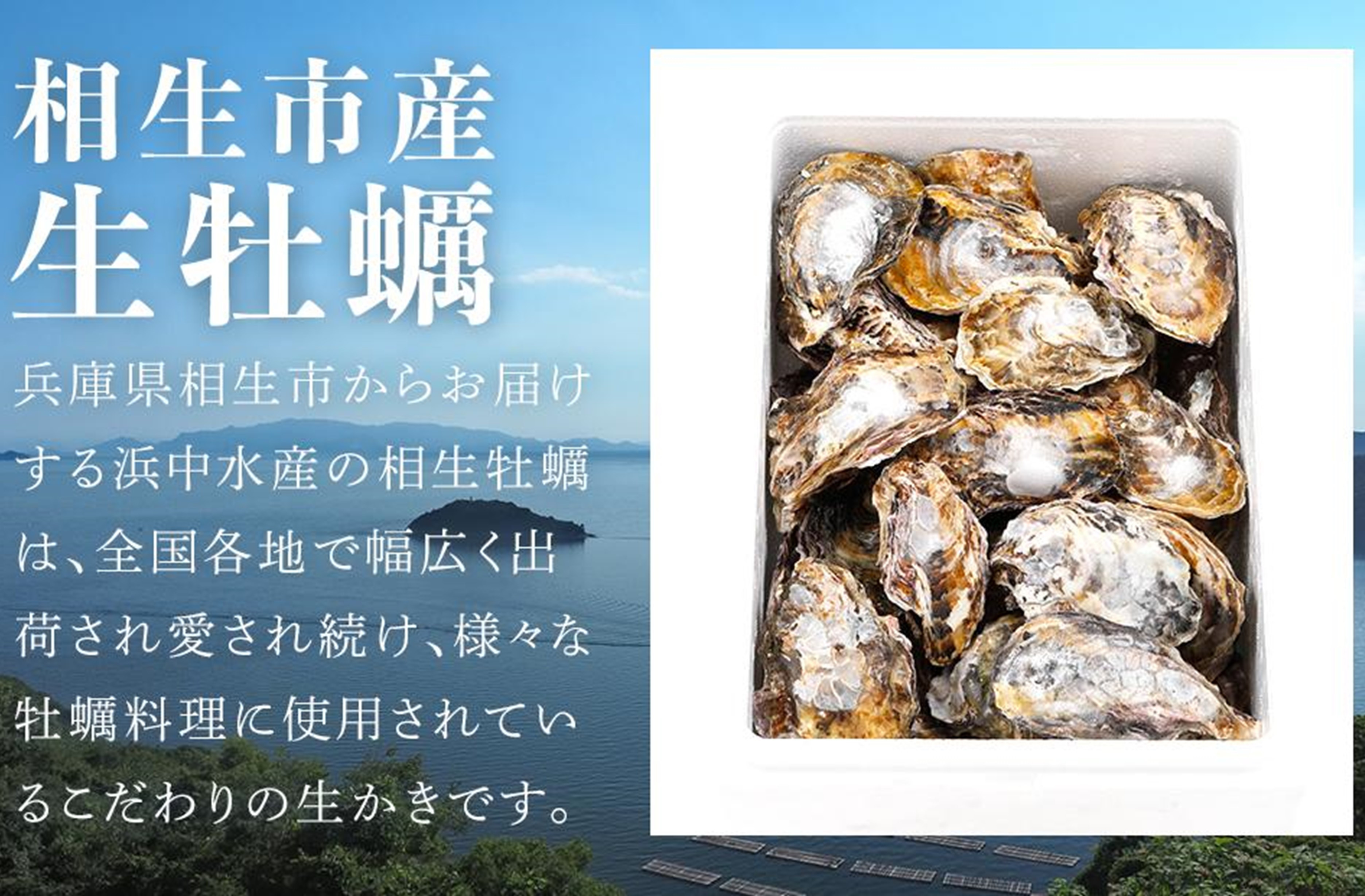 â
å
è¡äºçŽâ
ãèš³ããã»äžæããæ®»ä»ãçç¡è £ã1.5kg ãæŒåž«çŽé!ãå·èµé
é