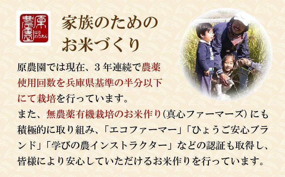 矢野川のお米　ヒノヒカリ精米10kg