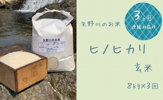 【定期便・全3回】矢野川のお米　ヒノヒカリ玄米8kgx3回