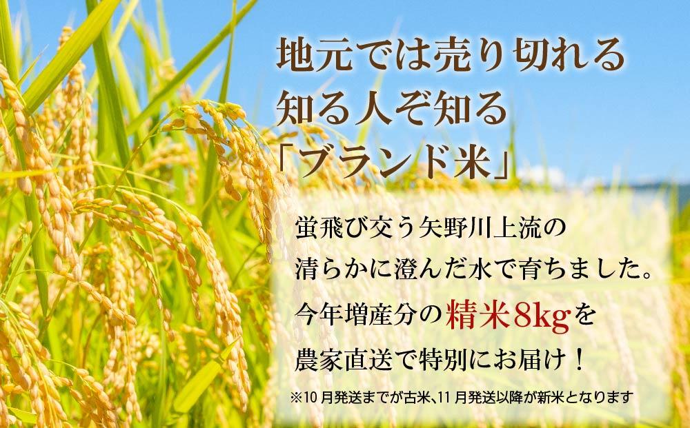 遏「驥主キ昴ョ縺顔アウ縲繝偵ヮ繝偵き繝ェ邊セ邀ウ8kg