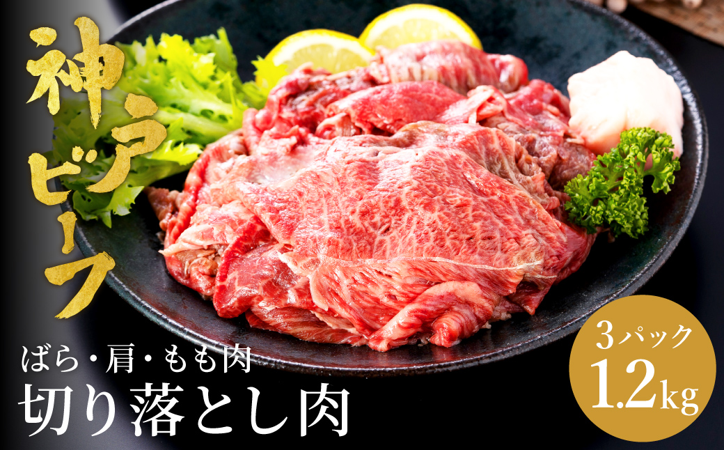 神戸牛 切り落とし 肉(バラ・肩・モモ)  1.2kg（小分け400g×3）/ 訳あり 牛肉 切り落とし 霜降り 但馬牛 黒毛和牛 和牛 国産牛 焼肉 やきにく アウトドア キャンプ BBQ 神戸ビーフ 太田牧場 TYS1-3 【但馬牛太田家】【2026年4月より順次発送】
