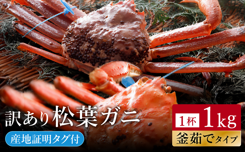【訳あり】タグつき 釜茹で松葉ガニ１kg前後