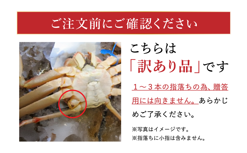 【訳あり】タグつき 釜茹で松葉ガニ800g前後