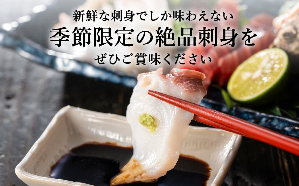 朝獲れの魚を冷蔵で発送！お刺身セット 約4人前  / 刺身 盛り合わせ 新鮮 冷蔵 お刺身 セット 寿司ネタ お寿司 お魚 刺身盛り合わせ【城崎温泉 おけしょう鮮魚】【お電話で希望の配送日時を確認しますので受取安心】