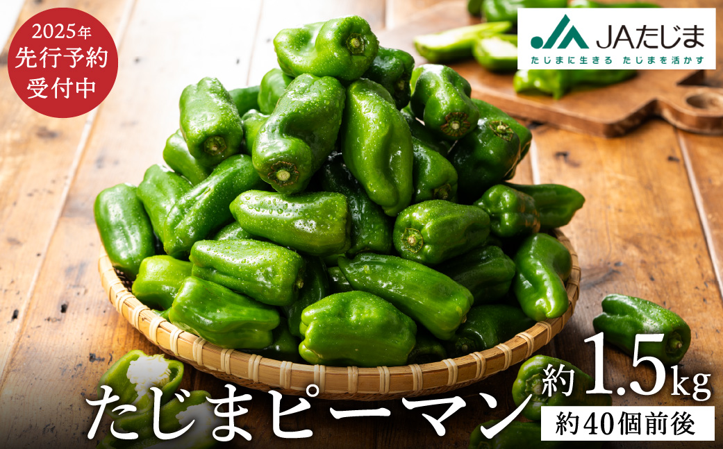 数量限定 たじまピーマン 先行予約 約1.5kg / 肉厚 ピーマン 肉詰め 新鮮 野菜 産地直送 やさい 苦みが少ない 甘みが強い 歯ごたえが良い 濃い緑 夏秋ピーマン【2025年7月中旬頃より順次発送】