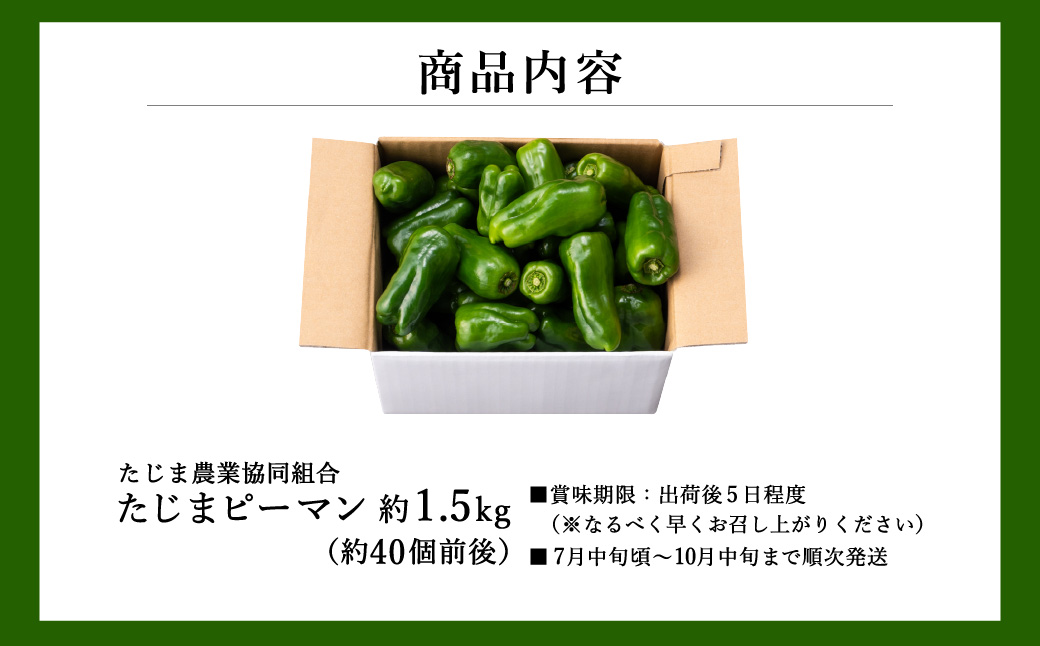 数量限定 たじまピーマン 先行予約 約1.5kg / 肉厚 ピーマン 肉詰め 新鮮 野菜 産地直送 やさい 苦みが少ない 甘みが強い 歯ごたえが良い 濃い緑 夏秋ピーマン【2025年7月中旬頃より順次発送】