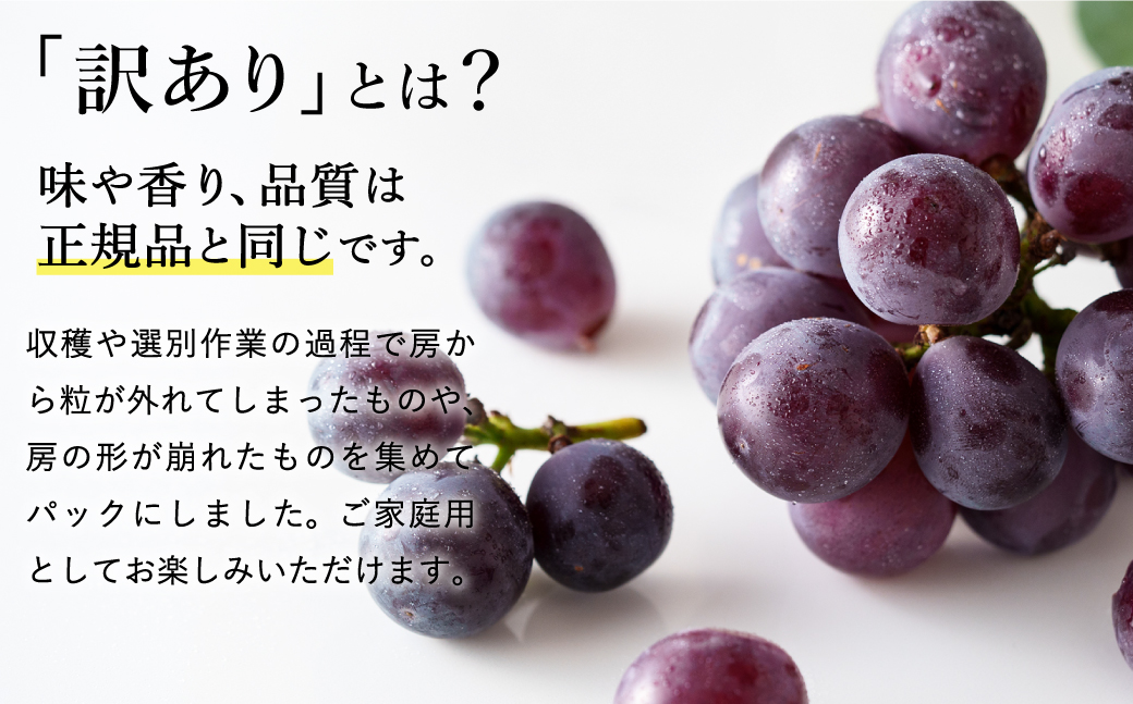 ã2026幎å
è¡äºçŽãæ°ééå® èš³ãã è±å²¡ã¶ã©ããããªãŒãã çŽ300gÃ8ããã¯ ïŒ ãŽããŒã ãã㊠è¡è èš³ããã¶ã©ã å€§ç² åŒ·ãçã¿ çœãããªé
žå³ æ°é®® æç© ç£å°çŽé ãã ãã® ãã«ãŒã äžå éŠã