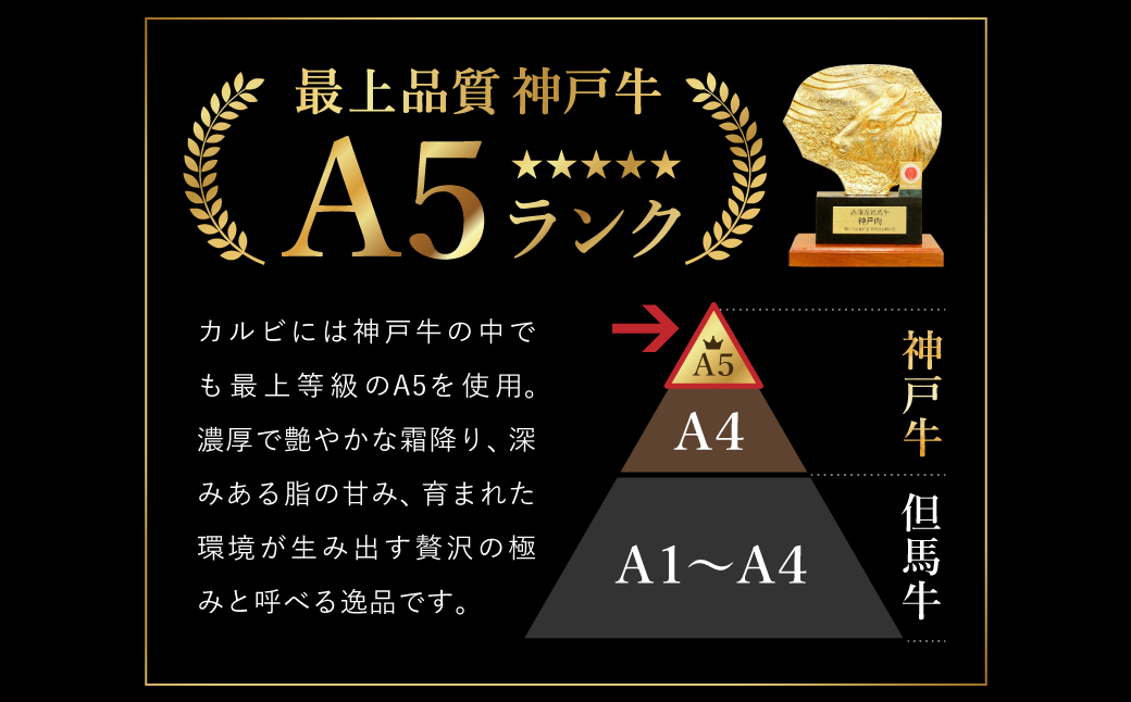 贅沢な脂香る A5ランク 神戸牛 カルビ焼肉 400g（200g×2パック）/ A5ランク 牛カルビ 小分け 牛肉 焼肉 カルビ バラ 肉 ばら肉 焼き肉 密着包装 霜降り バーベキュー 冷凍 国産牛 ブランド牛 黒毛和牛 神戸ビーフ 化粧箱入り ギフト 【帝神志方ミート】