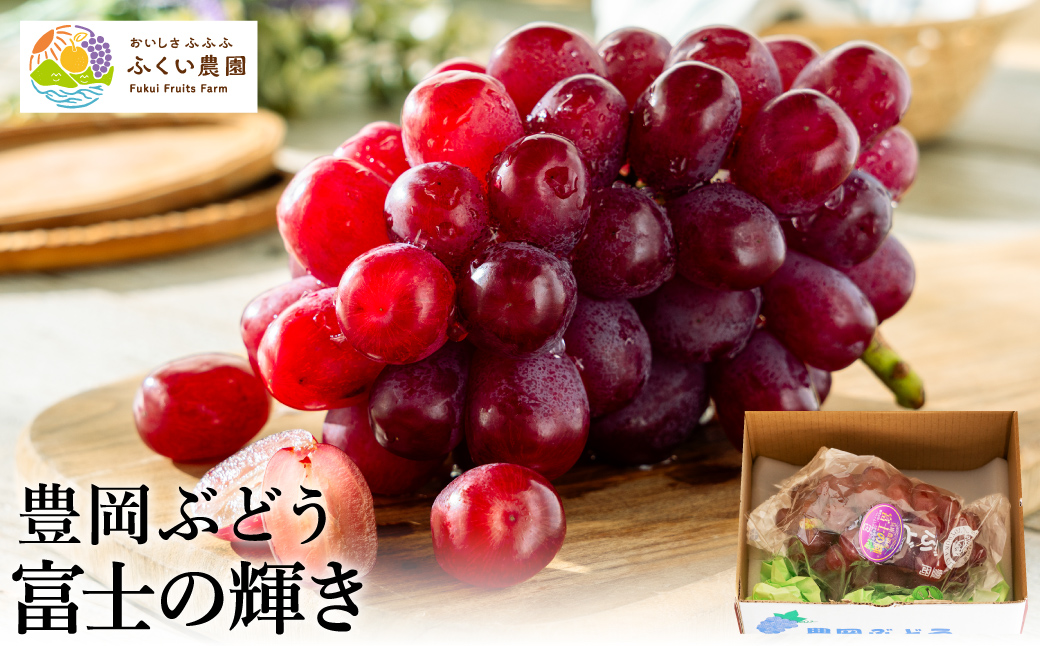 豊岡ぶどう 富士の輝き 600g / 豊岡ブドウ 産地直送 濃厚 甘味 コク 皮ごと 食べられる 減農薬 ぶどう ブドウ 葡萄 果物 くだもの フルーツ ふくい農園