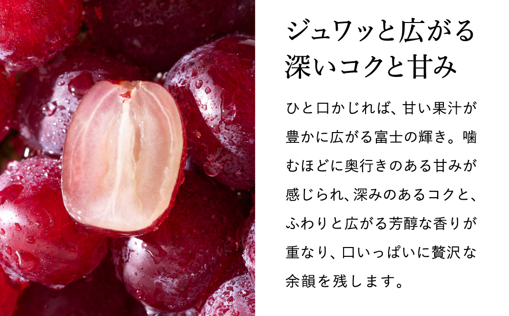 【2026年先行予約】豊岡ぶどう 富士の輝き 600g / 豊岡ブドウ 産地直送 濃厚 甘味 コク 皮ごと 食べられる 減農薬 ぶどう ブドウ 葡萄 果物 くだもの フルーツ ふくい農園