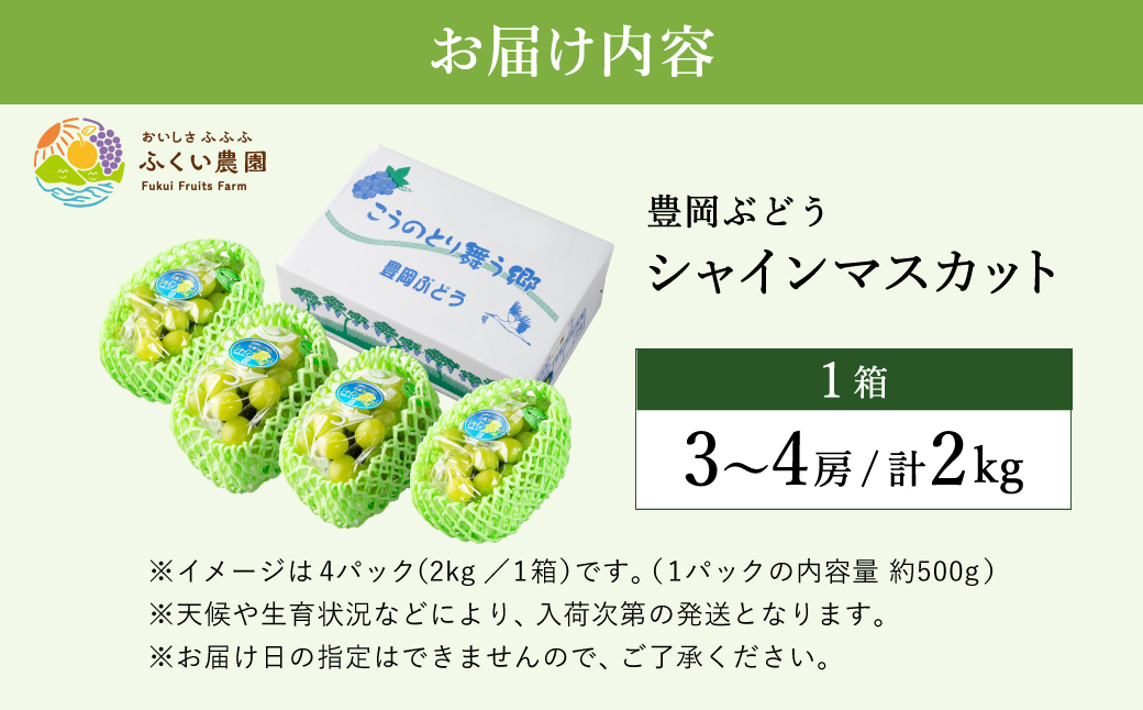 【2026年先行予約】豊岡ぶどう シャインマスカット 約2kg / 豊岡ブドウ 産地直送 糖度が高い 濃厚 甘味 上品な香り 歯切れの良い 皮ごと 食べられる 減農薬 シャイン マスカット ぶどう ブドウ 葡萄 果物 くだもの フルーツ ふくい農園