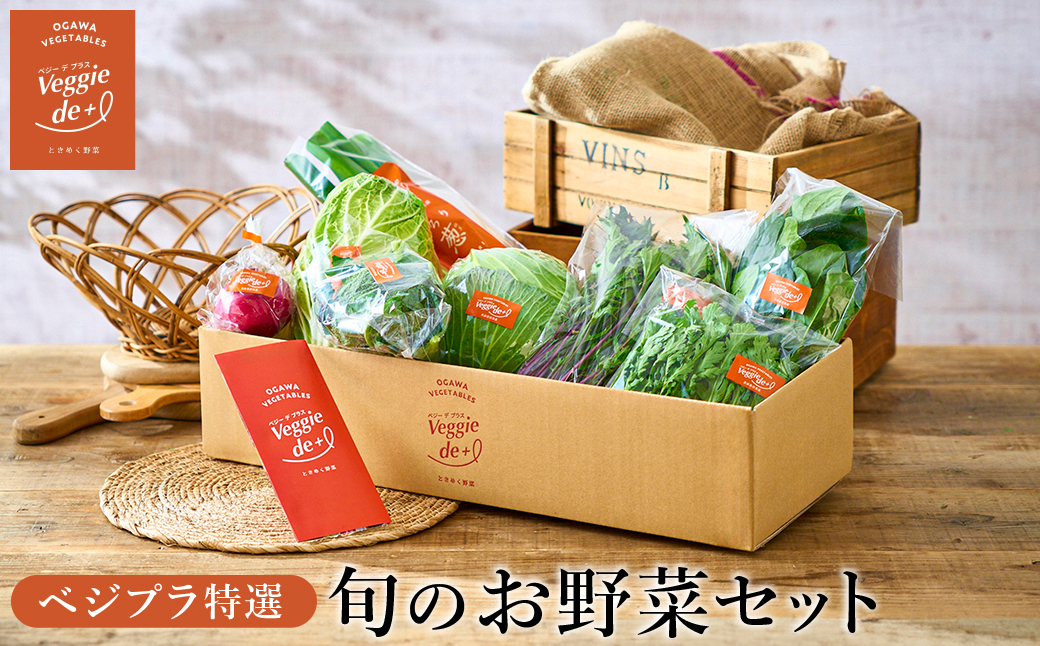 旬のお野菜を新鮮な状態でお届け！ベジプラ特選 旬の野菜セット / 野菜 詰め合わせ セット 野菜セット 新鮮 ギフト やさい 産地直送 苦みが少ない 甘みが強い【野菜例：キャベツ 白菜 ミニトマト レタス とろり葱 ほうれん草 など 】 【Veggie de ＋】