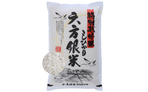 特別栽培米こしひかり　六方銀米　白米10kg