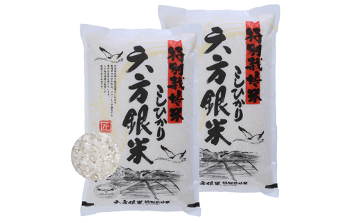 特別栽培米こしひかり　六方銀米　白米10kg（5kg×2袋）