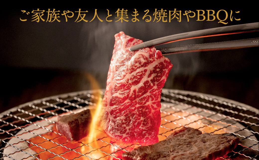 神戸牛 食べ比べ 焼肉セット 合計1.1kg【肩・モモ 600g+切り落とし牛カルビ 500g】/ 焼肉用 牛肉 切り落とし 牛 肉 焼肉 肩 モモ 赤身 黒毛和牛 霜降り 国産牛 焼き肉 カルビ 神戸ビーフ TYY3 太田牧場【但馬牛太田家】