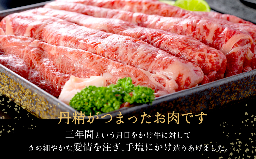 神戸牛 うす切り・切り落とし肉 合計1.1kg 【肩・もも肉 600g+牛肉切り落とし 500g 】/ 訳あり牛肉 切り落とし すき焼き すき焼き肉 しゃぶしゃぶ 肉 食べ比べ 焼肉 赤身 黒毛和牛 TYS3 神戸ビーフ 太田牧場【但馬牛太田家】