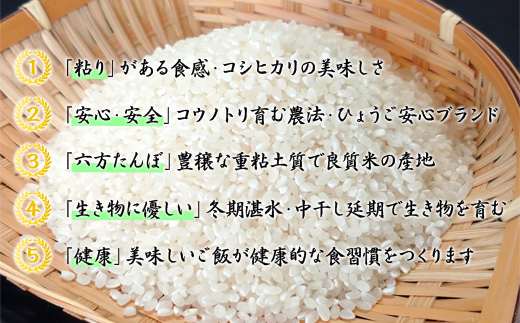 六方たんぼ コシヒカリ 減農薬（白米：3kg）令和6年産 / 新米 米 お米 精米 コシヒカリ コウノトリ育む農法