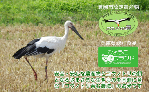 六方たんぼ コシヒカリ 減農薬（白米：3kg）令和6年産 / 新米 米 お米 精米 コシヒカリ コウノトリ育む農法