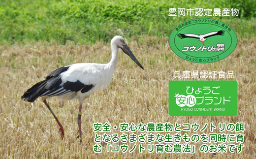 六方たんぼ コシヒカリ 農薬不使用（白米：3kg）令和6年産 / 新米 米 お米 精米 コシヒカリ コウノトリ育む農法