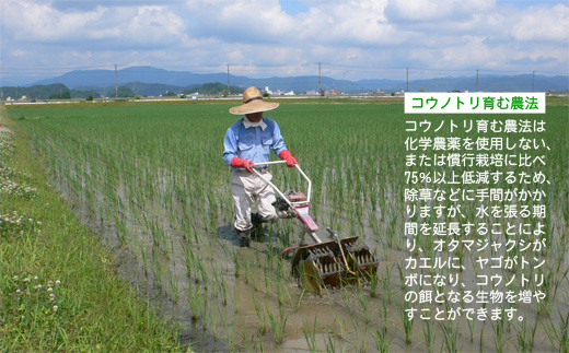 六方たんぼ コシヒカリ 農薬不使用（白米：3kg）令和6年産 / 新米 米 お米 精米 コシヒカリ コウノトリ育む農法