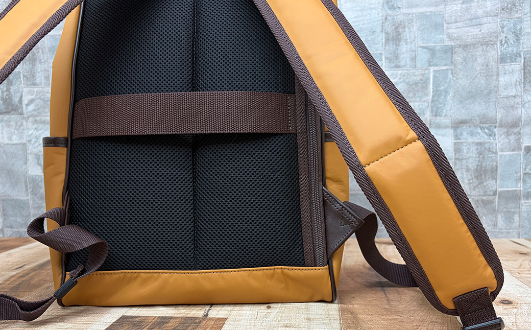 ãšã«ãã軜ãïŒ2wayãã¬ã¹ãªã¥ã㯠/ ãã£ã¡ã« / ãªã¥ã㯠ãã¹ãã³ããã° çŽ550g åç® ãæå
¥ãç°¡å ãªã¥ãã¯ãµã㯠ãã°ããã¿ã ãããå²ãã