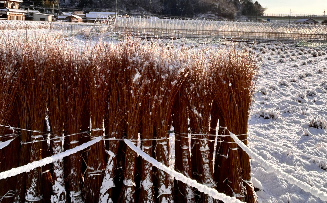 migiwa 飯行李～en～ / 伝統工芸品 行李編み 飯行李 楕円形 丸形 弁当箱 お弁当箱 ランチボックス 天然素材 高級 おしゃれ 和テイスト 行楽 登山 アウトドア ピクニック お出かけ 手作り ハンドメイド 日本製