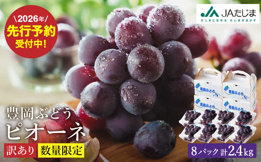 【2026年先行予約】数量限定 訳あり 豊岡ぶどう「ピオーネ」 約300g×8パック ／ ぴおーね ブドウ 葡萄 訳ありぶどう 大粒 強い甘み 爽やかな酸味 新鮮 果物 産地直送 くだもの フルーツ 上品 香り